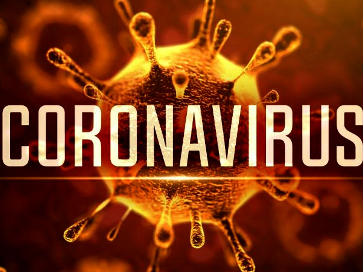 Coronavirus Cases State Wise break up of Positive Cases
