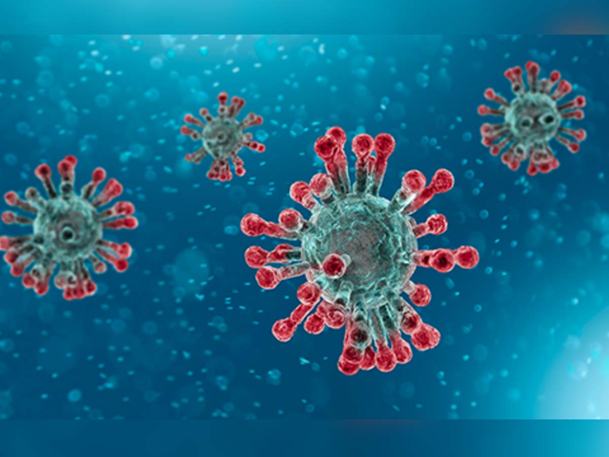 Coronavirus: Second Death in India Confirmed