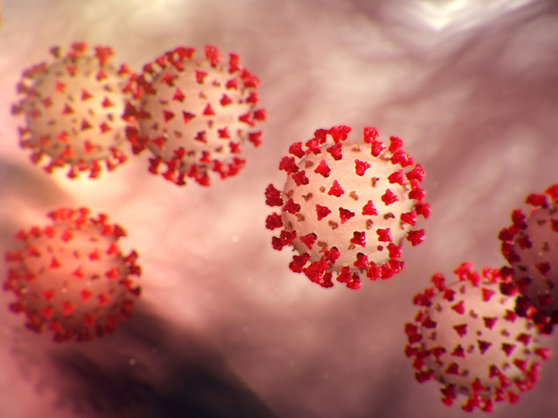 Coronavirus deaths pass 6,500 worldwide