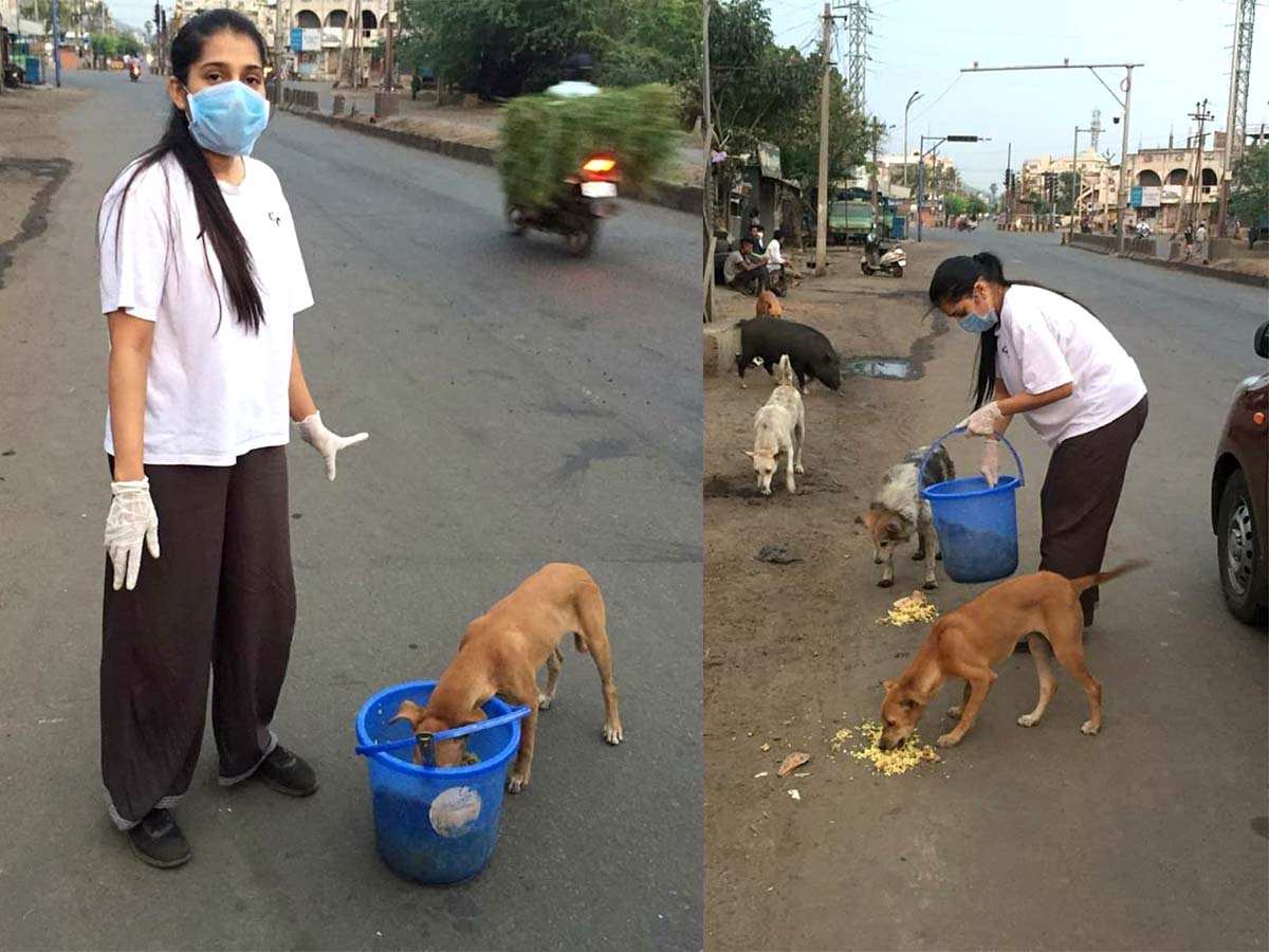 Novel gesture from Rashmi Gatham, feeding street dogs