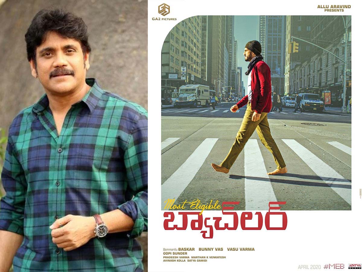 Nagarjuna suggested changes to Most Eligible Bachelor?