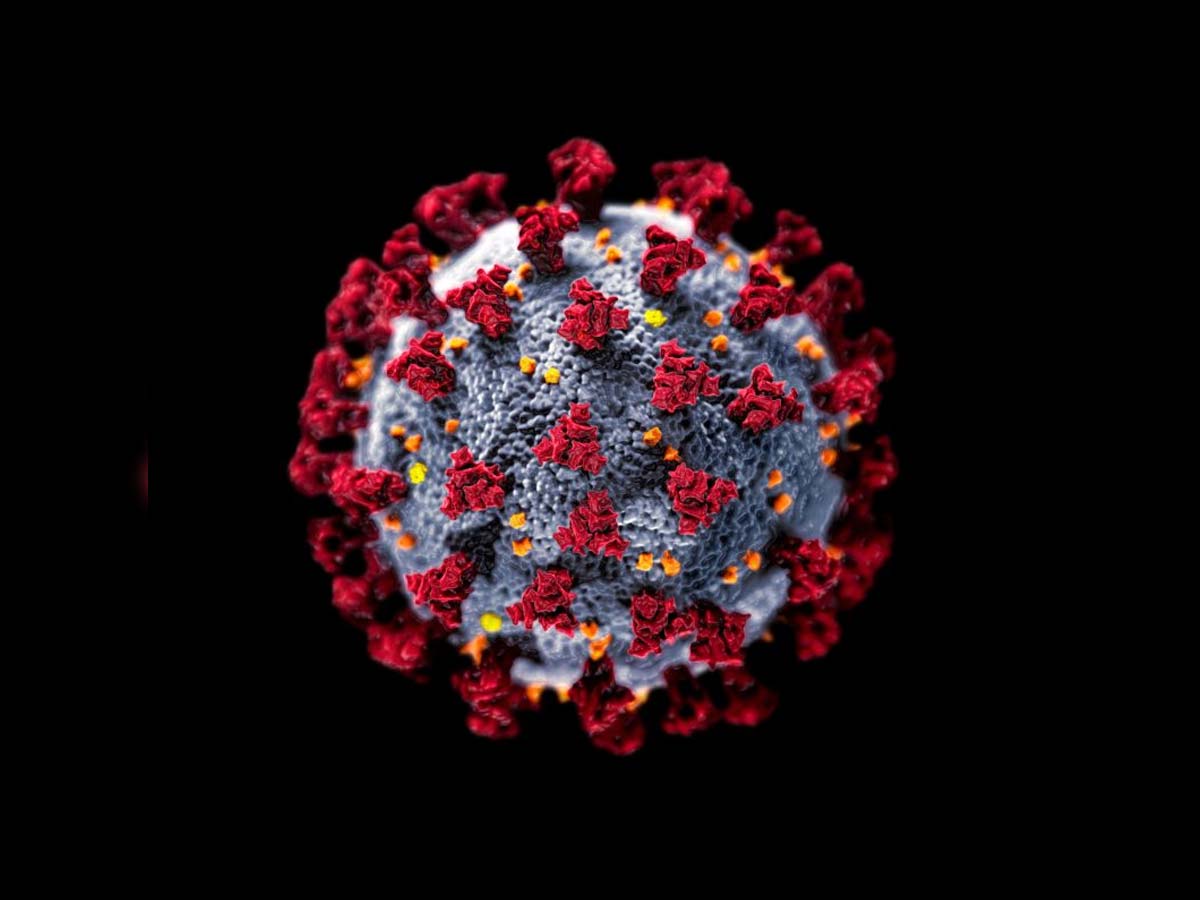 Virus js. Вирусная частица SARS-cov-2. Коронавирус Вирион. Коронавирус Сарсков 2. Коронавирус частица.