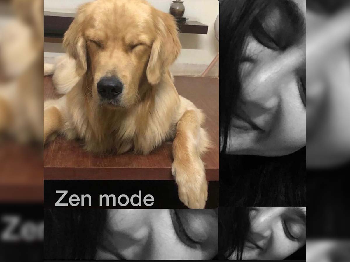 Anushka Shetty and her pet dog find zen in life