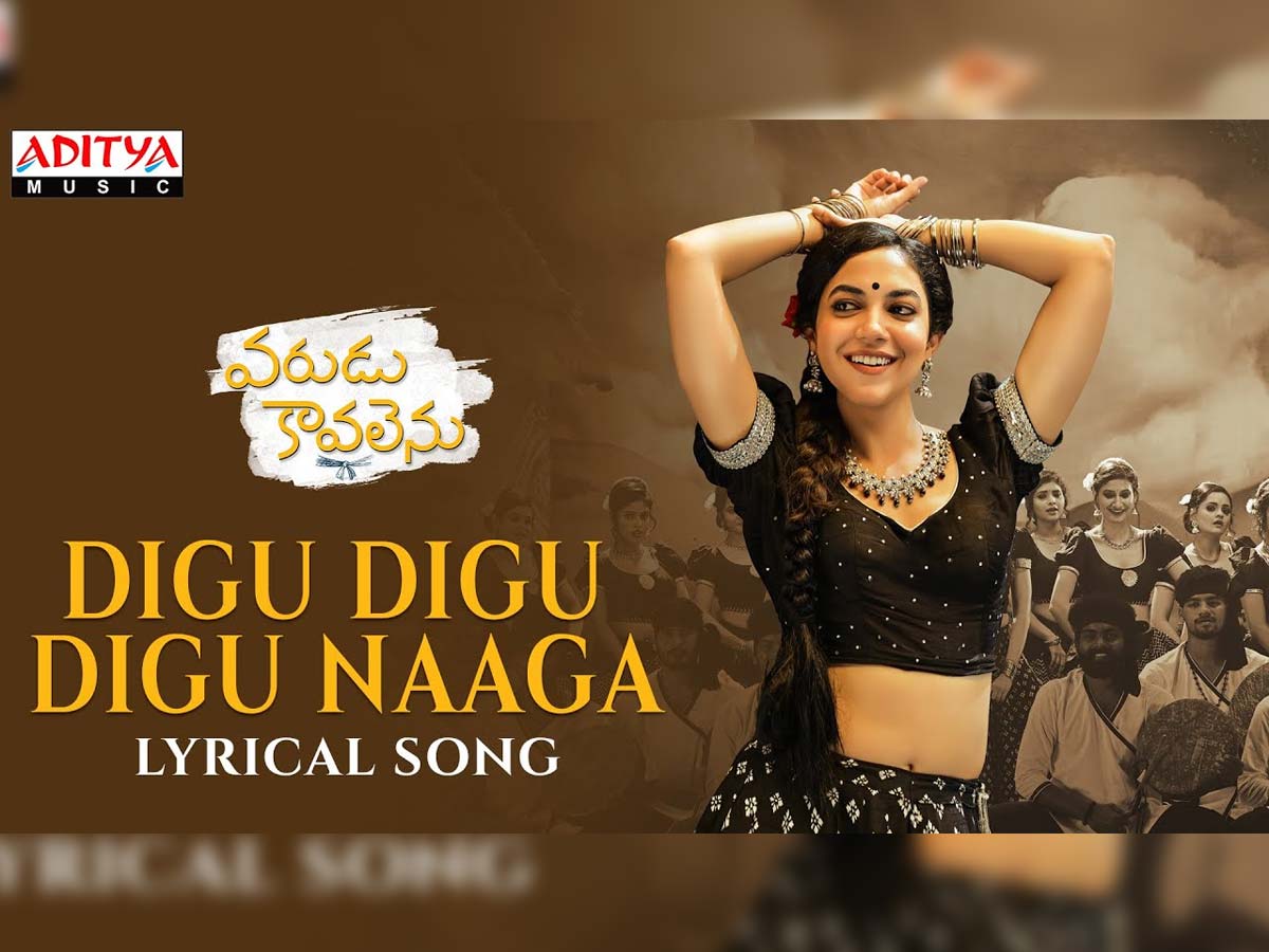 Varudu Kavalenu song Digu Digu Naga in legal trouble