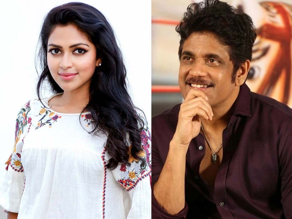 Amala Paul quotes huge remuneration for Nagarjuna The Ghost
