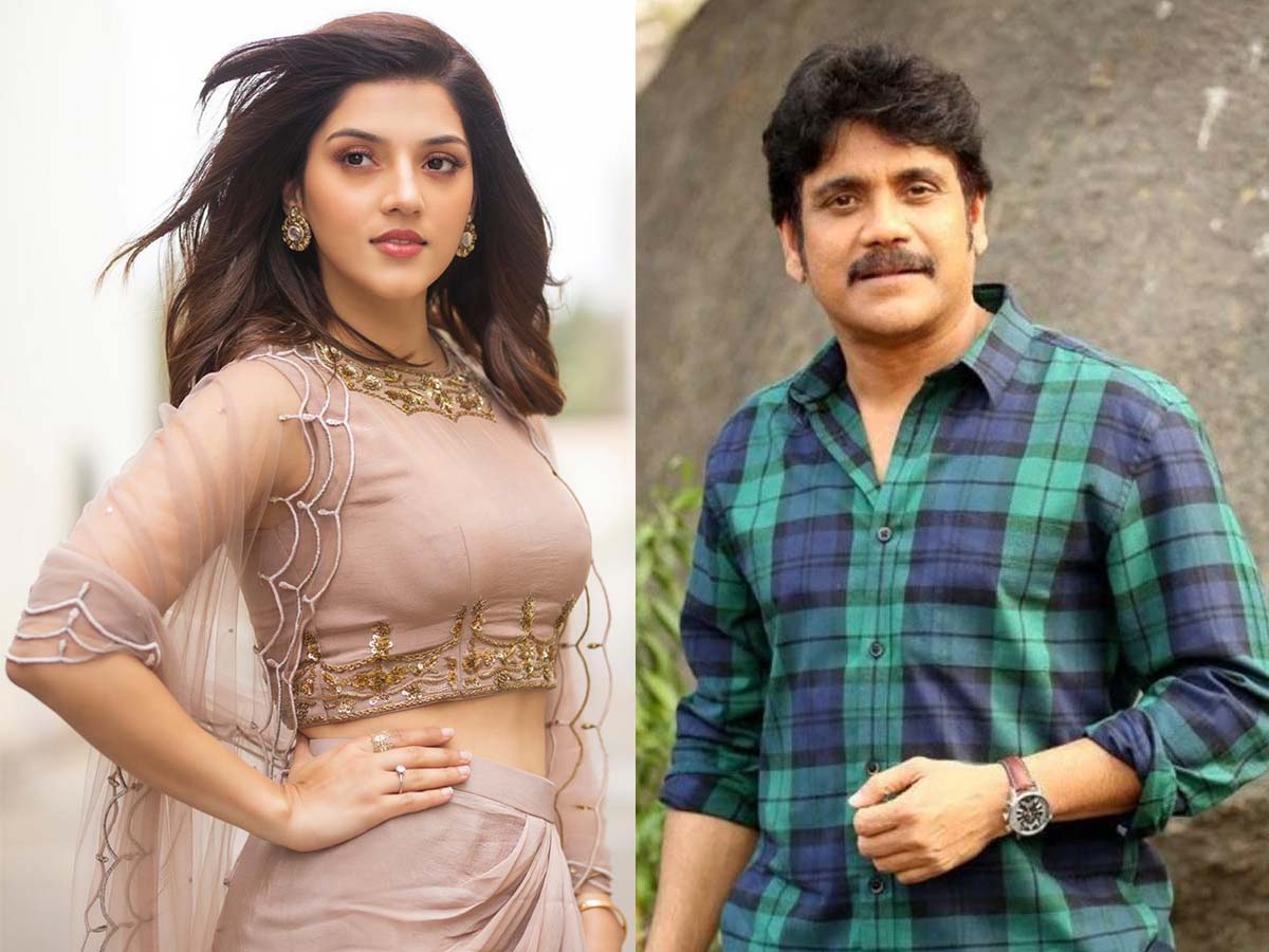 Fatty paycheck to Mehreen Pirzada for Nagarjuna The Ghost?
