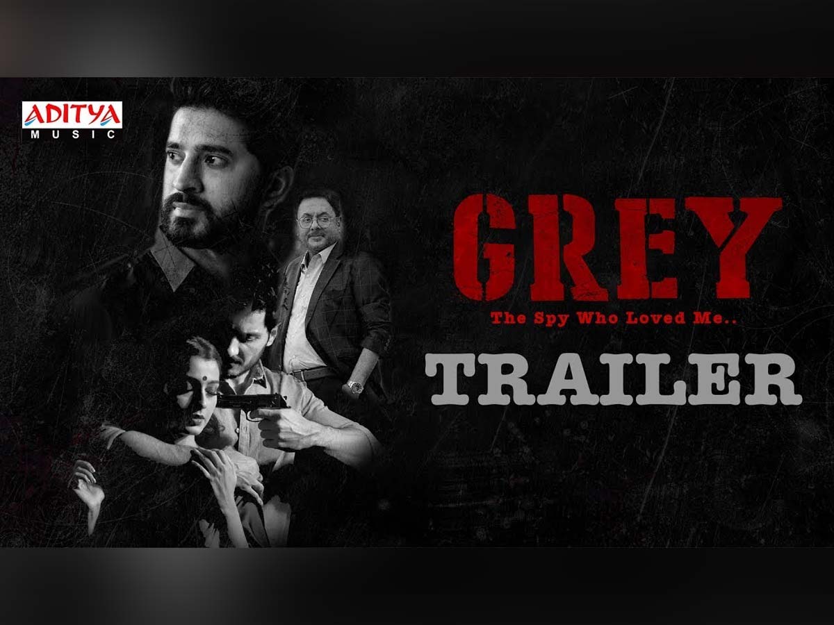 'Gray' Movie Trailer Released In Hyderabad Elite Pro Basketball League
