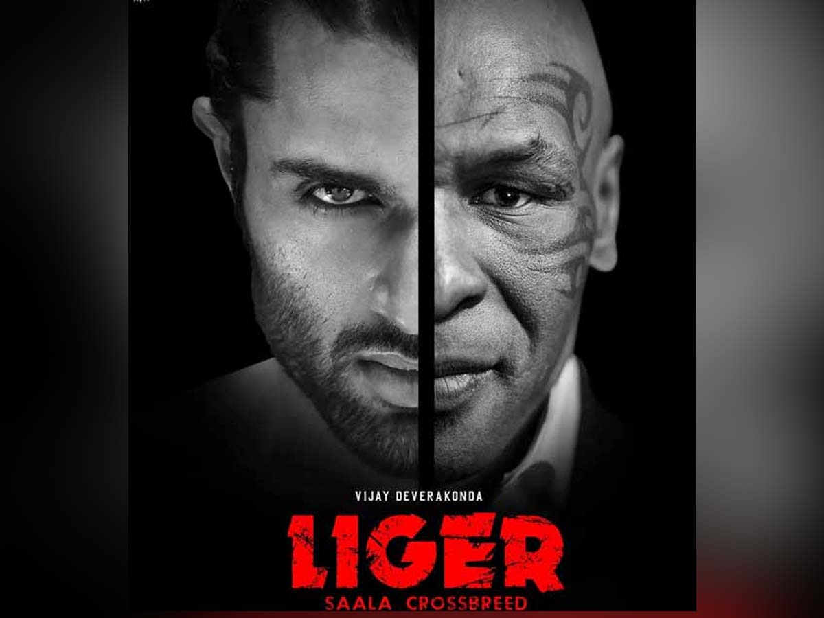 Liger 13 days Worldwide Box office collections
