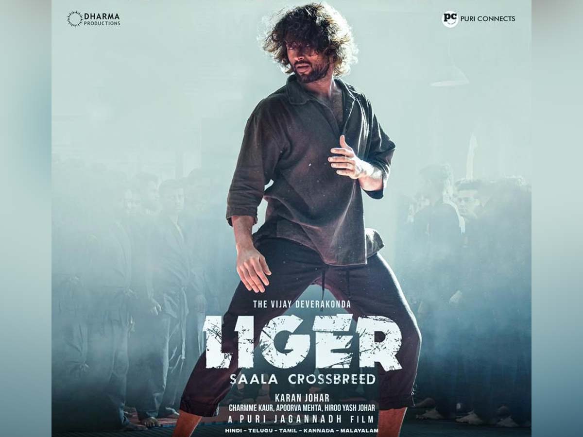 Liger 14 days Worldwide Box office collections